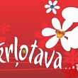 Discount card
