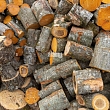 Firewood delivery throughout Kurzeme