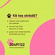 Make an appointment by phone