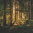 Kontaktinformācija