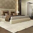 Carpet cleaning services