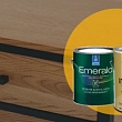 Paints and stains for professional wood finishing