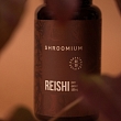 Reishi Ekstrakts