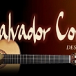 Guitars
