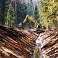 Kvalitatīva meža infrastruktūra – kvalitatīvs mežs