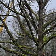 Gallery of completed works