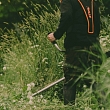 Lawn mowing