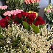Flower salon in Valmiera