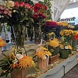 Flowers in Valka
