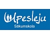 Upesleju pamatskola