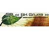 BK Grupa, Ltd., Logging