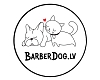 BarberDog, dog and cat hair salon
