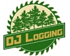DJ Logging, SIA