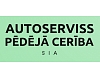 Autoserviss pēdējā cerība, SIA