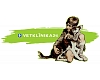 Vetklinika24, LTD, 24-hour veterinary clinic