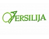 Versilija.V, SIA