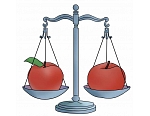 Inese Kurzemniece, lawyer
