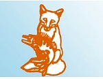 Dvina, ООО Red Fox