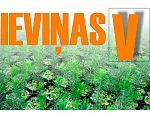 Ieviņas V., SIA, Kokaudzētava