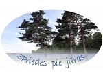 3Priedes pie jūras, brīvdienu māja - viesu nams